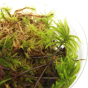 ieEjہ@Jbv@TSPp@RP~bNXi1Jbvj