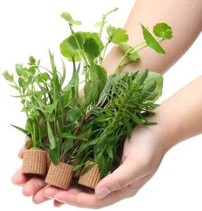 ij_J@Sҁ@uȒP@Ct}`ij܂5itj_i5e2v10jt@ANAE