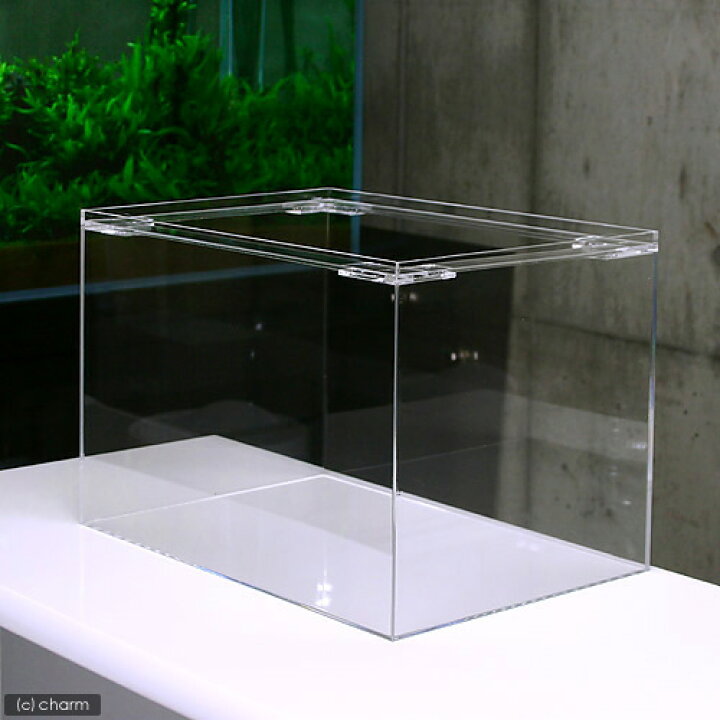 楽天市場 アクリル水槽 サイズ 450 300 300mm 板厚 4 4 4mm お一人様1点限り 沖縄別途送料 関東当日便 Charm 楽天市場店 楽天市場 アクリル水槽 サイズ 450 300 300mm 板厚 4 4 4mm お一人様1点限り 沖縄別途送料 関東当日便 Charm 楽天市場店