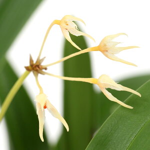 ieEjm@o{tB@S[f@Aui1|bhj@kCEBq֗vۉ