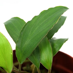 ieEjsvgXpT@hC@ChlVA@oWYi1|bgj@kCEBq֗vۉ