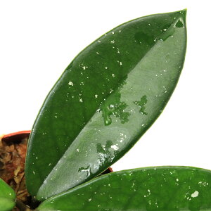 ieEjzspDpYi1|bgj@kCq֗vۉ