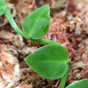 ieEjtBhtH@nCi1Jbvj@kCEBq֗vۉ