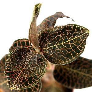 ieEjAlNgLX@NXoM[i1|bgj@kCEBq֗vۉ