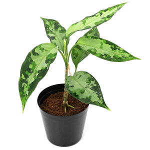 ieEj_@AOIl}@sN^@A`FYi435902ji1|bgj@kCq֗vۉ