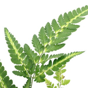 iR쑐jV_irjnJ^V_irj3i1|bgjΐN