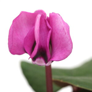 iR쑐jVN@RE@2D5`3i1|bgjixԁj