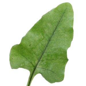 iR쑐jV_irjmlV_i̍rj3i1|bgjΐN