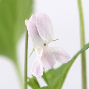 iR쑐jX~i俁jqX~@^dqicߕPj2D5`3i1|bgjixԁj