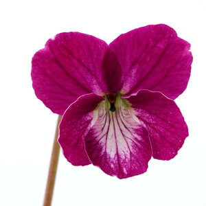 iR쑐jX~i俁jqcJX~@REWigj2D5`3@i1|bgjixԁj