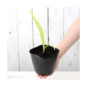 iR쑐jn}Ein}Igjilؖȁj3`3D5i@3|bgZbgjixԁj