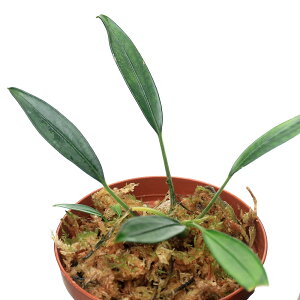 ieEjA_spDi1|bgj@kCEBq֗vۉ