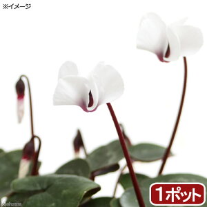 iR쑐jVN@RE@Ao@2D5`3i1|bgjixԁj