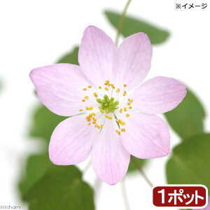 iR쑐jJ}c\Eij֔~ԃJ}c@3i1|bgjixԁj