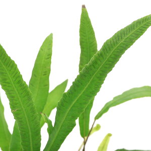 iR쑐jV_irjwV_i͗rj3i1|bgjΐN