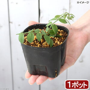 iR쑐jV^}JY@3i1|bgjixԁj