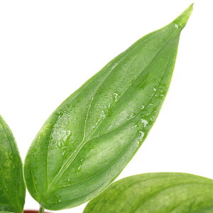 ieEjAOIl}@VvbNX@@X}gYi1|bgj@kCEBq֗vۉ