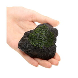 （水草）巻きたて　プレミアムグリーンモス　溶岩石SSサイズ（8cm以下）（水中葉）（無農薬）（1個）