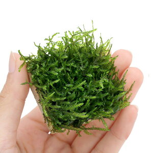 ij琬ρ@t[X@^Ci_ji1j