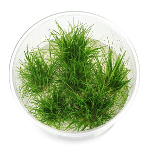 ijgD|{@wA[OXi_ji1Jbvj@kCEBq֗vۉ