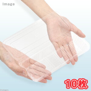 t[hpbN@ii10j@Hie@ٓe@Hig[@yؗe@@֓