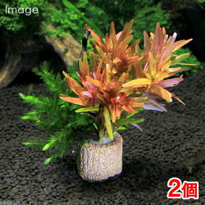 ijCt}`ijXtԌnLs@NX}XJ[itji2j