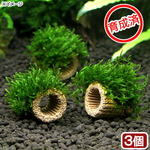 ij琬ρ@Ct}`ijt[Xi_ji3j