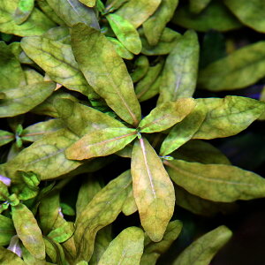 ijXgMlspDp[vitji_ji3{j