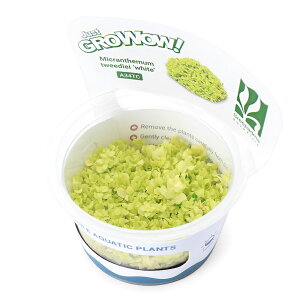 ijgD|{GROWOWI@zCgj[[Wp[OXi_ji1Jbvj@kCEBq֗vۉ