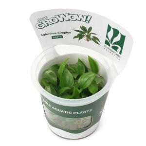 ijgD|{GROWOWI@AOIl}@VvbNXi_ji1Jbvj@kCEBq֗vۉ