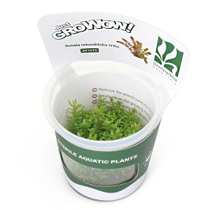 ijgD|{GROWOWI@^@gfBtHA@Hfrai_ji1Jbvj@kCEBq֗vۉ