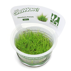 ijgD|{GROWOWI@wA[OXV[gi_ji1Jbvj@kCEBq֗vۉ