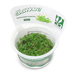 ijgD|{GROWOWI@I[XgAm`hi_ji1Jbvj@kCEBq֗vۉ