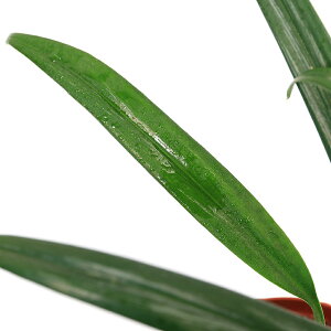 ieEjGsvi@AvbV}@Vo[XgCvi_ji1|bgj@kCEBq֗vۉ