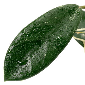 ieEjz@hRXpei_ji1|bgj@kCEBq֗vۉ