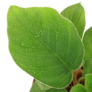 ieEjXLX}gObeBX@LA[^i1|bgj@kCEBq֗vۉ