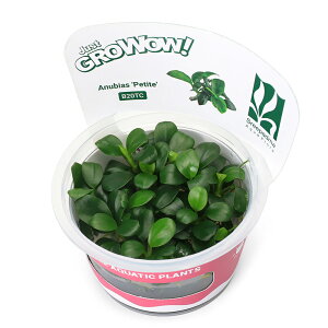 ijgD|{GROWOWI@AkrAX@yb`[i_ji1Jbvj@kCEBq֗vۉ