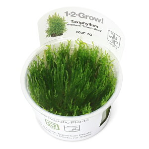 ijgD|{1|2|GROWI@^CX@gsJi_ji1Jbvj@kCEBq֗vۉ