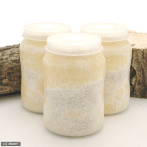 ێr@XL|POT@J^P@800cc@1{