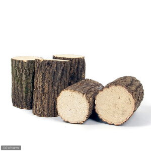 NkMY؁@ځ@Ǎށ@1{@֓