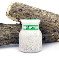 冷蔵★菌糸ビン　G−pot　550cc　1本　別途クール手数料　常温商品同梱不可