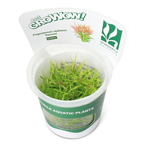 ijgD|{GROWOWI@|SXe@Xe[^@_bZi_ji1Jbvj@kCEBq֗vۉ