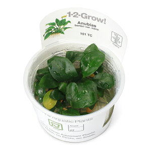 ijgD|{1|2|GROWI@AkrAX@iii_ji1Jbvj@kCEBq֗vۉ