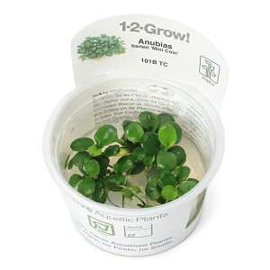 ijgD|{1|2|GROWI@AkrAX@oe[@~jRCi_ji1Jbvj@kCEBq֗vۉ