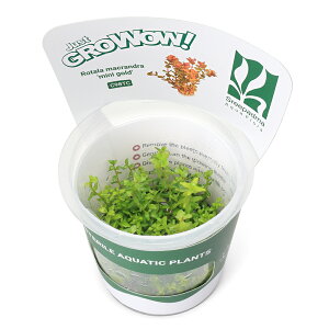 ijgD|{GROWOWI@^@}Nh@~j@S[hi_ji1Jbvj@kCEBq֗vۉ