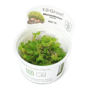 ijgD|{1|2|GROWI@[jSP@gsJi_ji1Jbvj@kCEBq֗vۉ