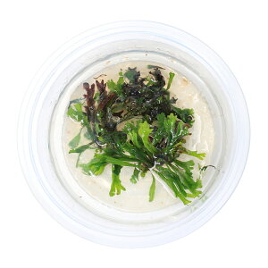 ijgD|{@pց@~N\E@EFfBti_ji1Jbvj@kCEBq֗vۉ