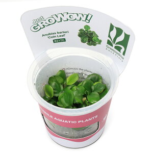 ijgD|{GROWOWI@AkrAX@oe[@RC[ti_ji1Jbvj@kCEBq֗vۉ