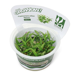 ijgD|{GROWOWI@NvgRl@EBV[@i[i_ji1Jbvj@kCEBq֗vۉ