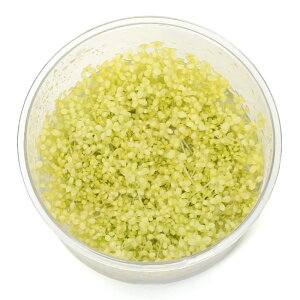 ijgD|{@zCgL[op[OXi_ji1Jbvj@kCEBq֗vۉ